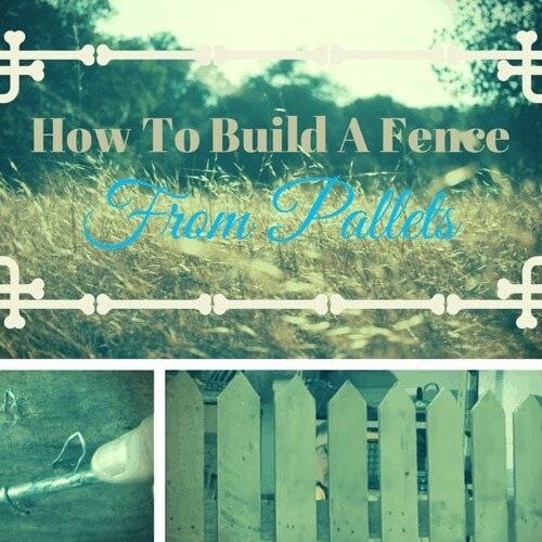 A Guide on How to Cut Hardware Cloth Quickly and Easily