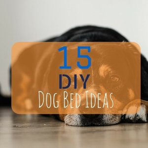 DIY Dog Bed Ideas