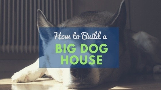 Dog house plans 2 large dogs