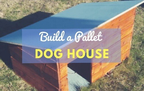 How to build a dog house from pallets