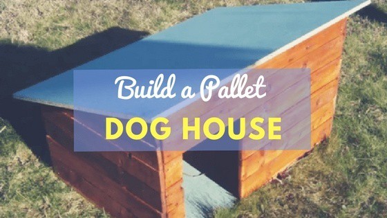 How to build a dog house from pallets