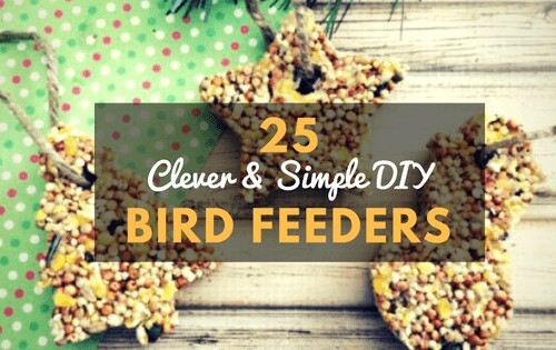 кормушки для птиц своими руками
