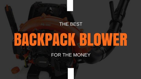 Best Backpack Blower