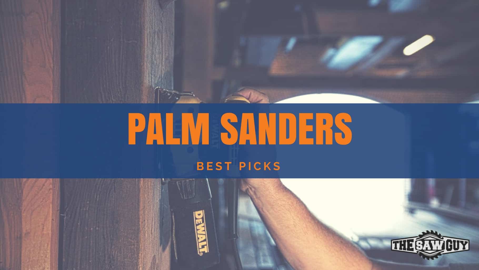 Best Palm Sanders