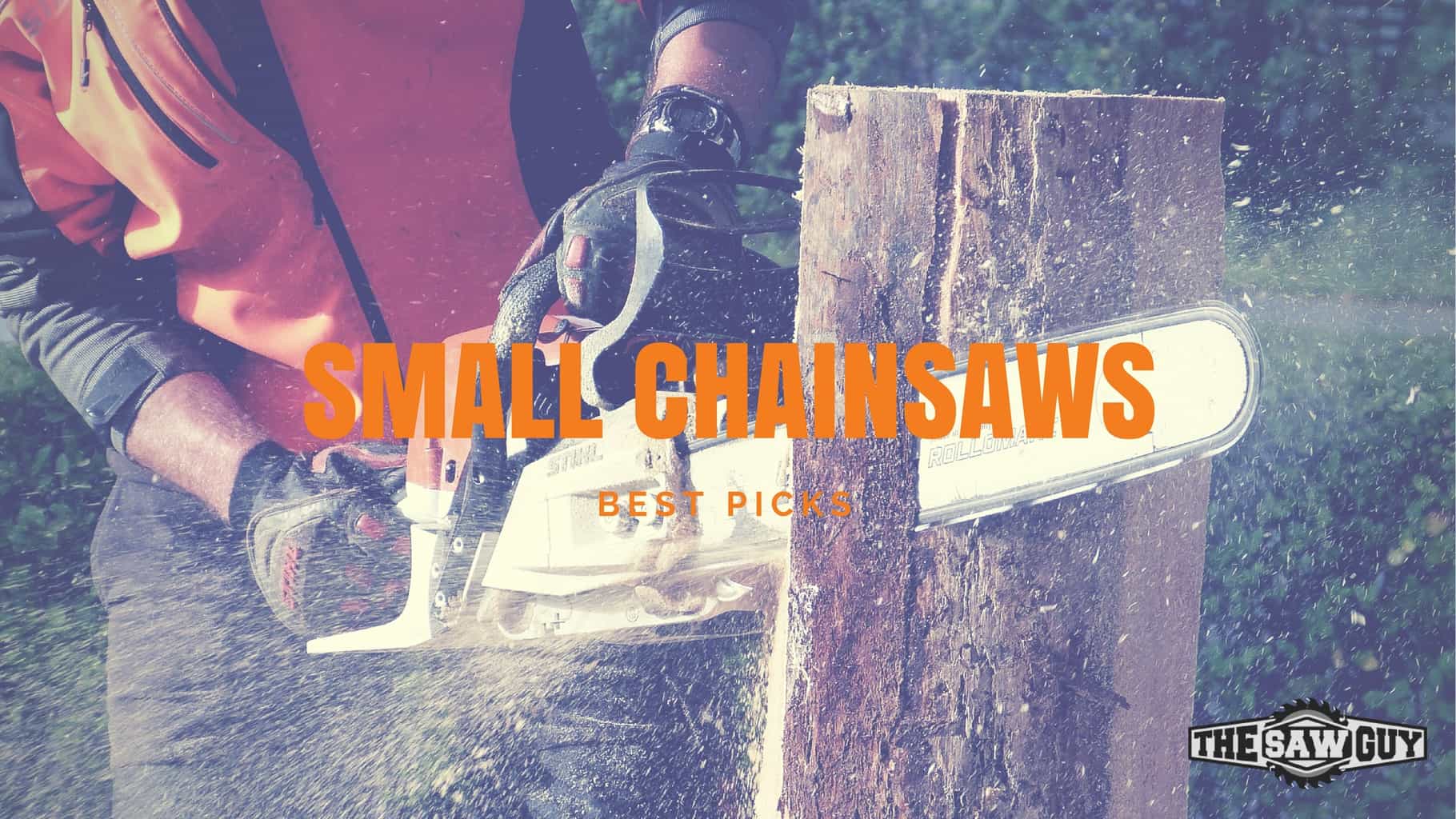The 5 Best Small Chainsaws
