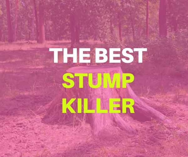 best stump killer