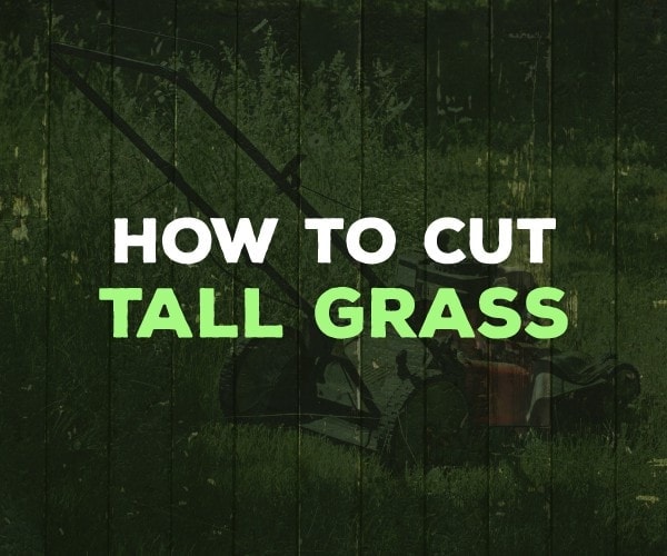 how to cut tall grass