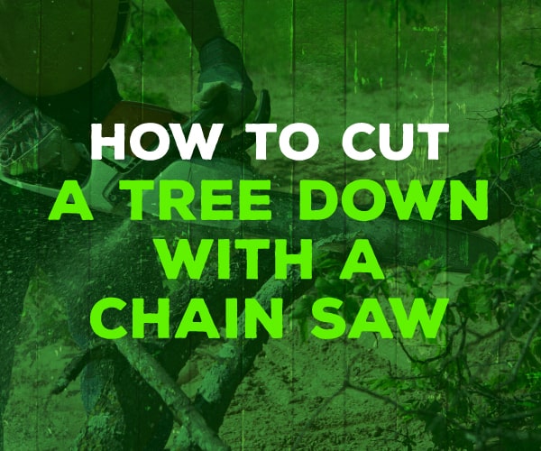 how to cut a tree down with a chainsaw