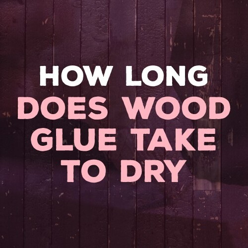 The Best Woodworking Glue For Your Next DIY Project The Saw Guy Saw Reviews and DIY Projects