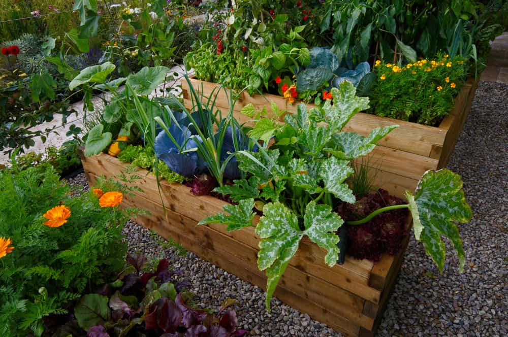 trough style with tropicals