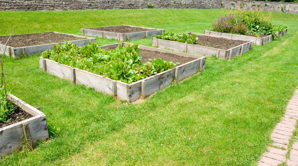 four square raised gardens