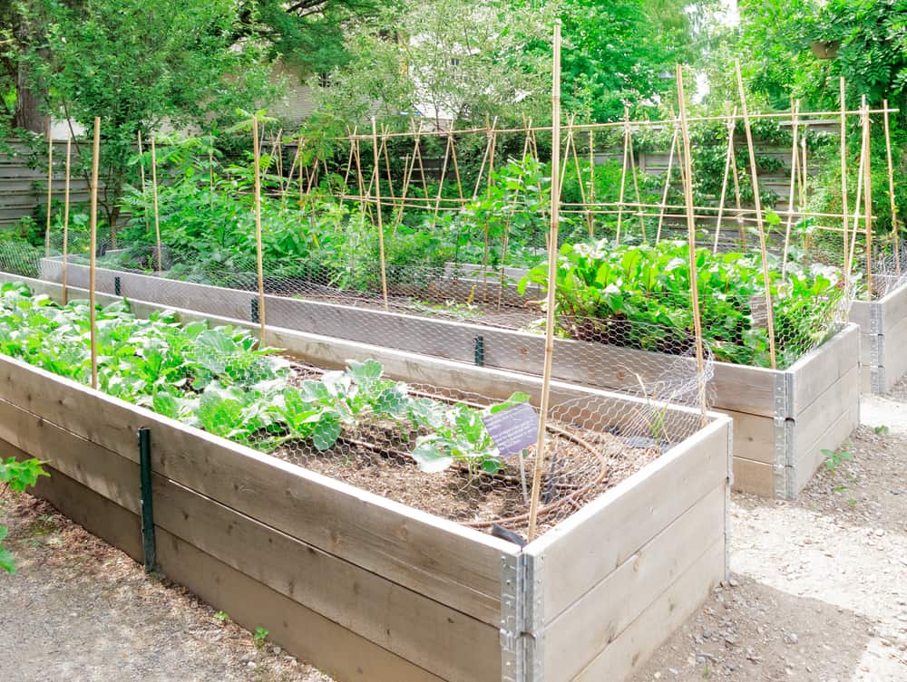 support beams in raised gardens