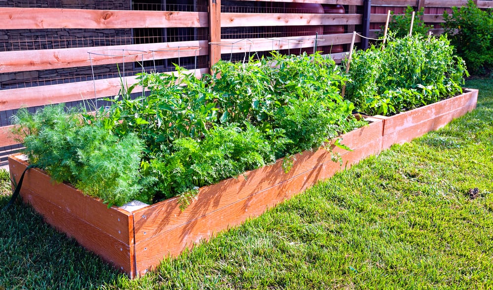 trough style garden