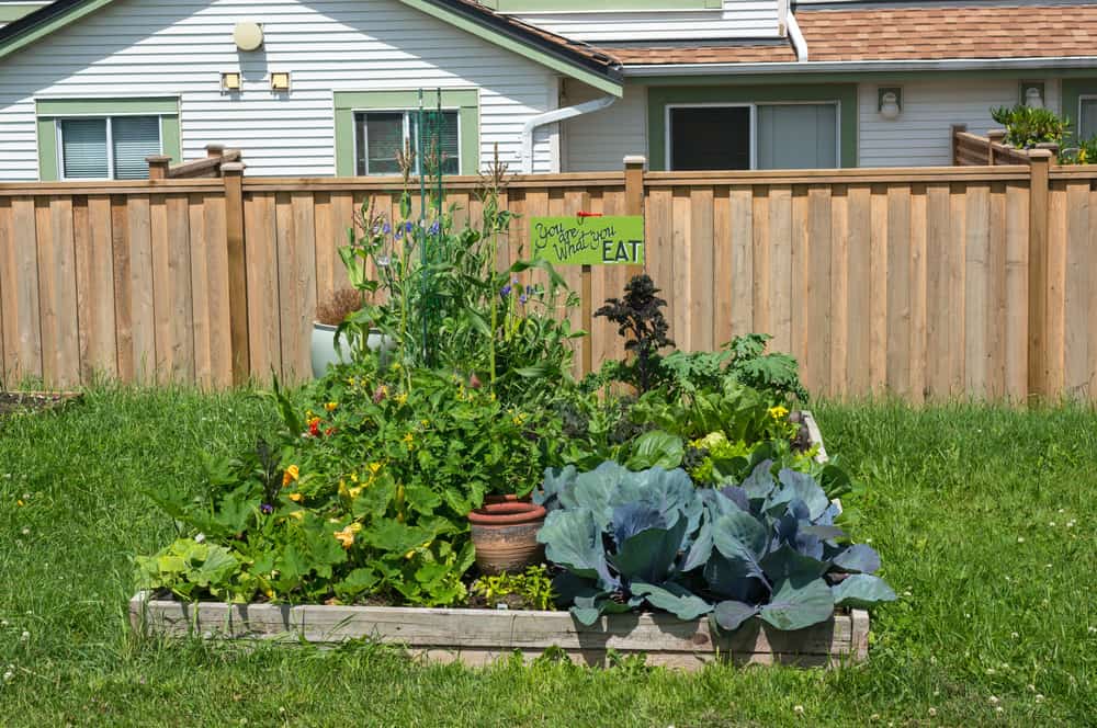 low two plank garden