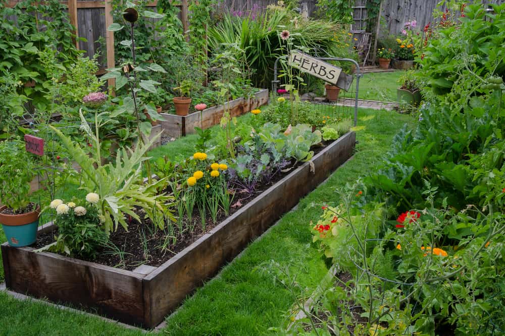 low single plank long garden