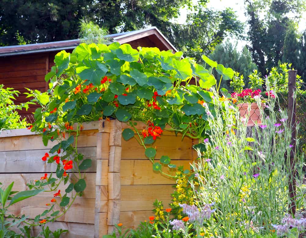 high linked wood garden