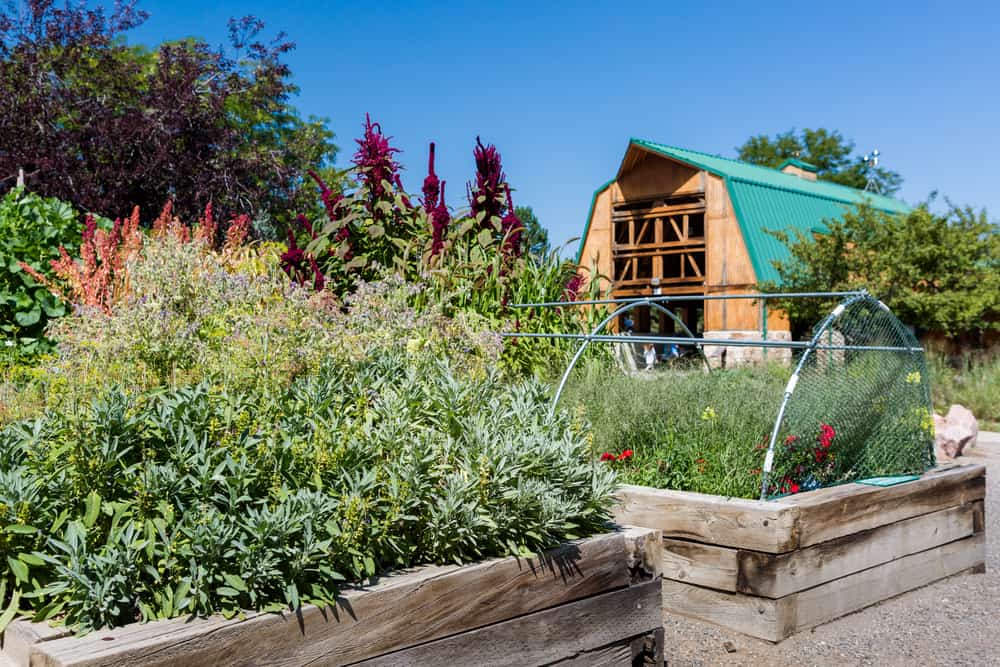 farmhouse raised garden