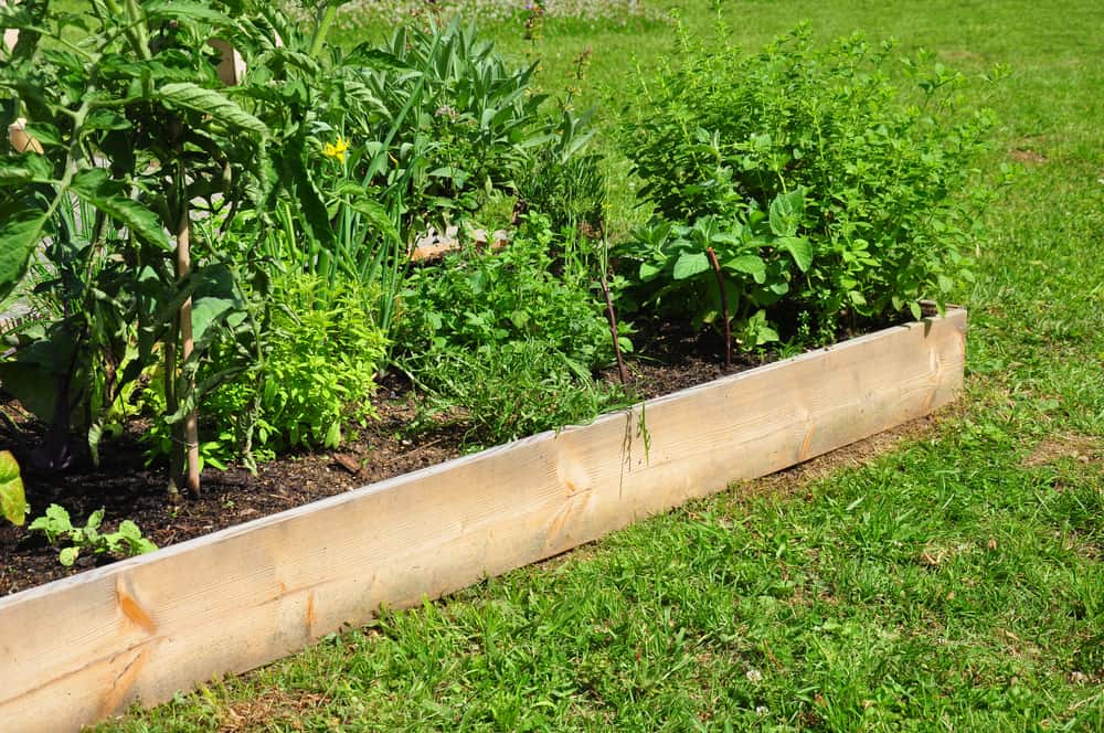 single plank long low garden