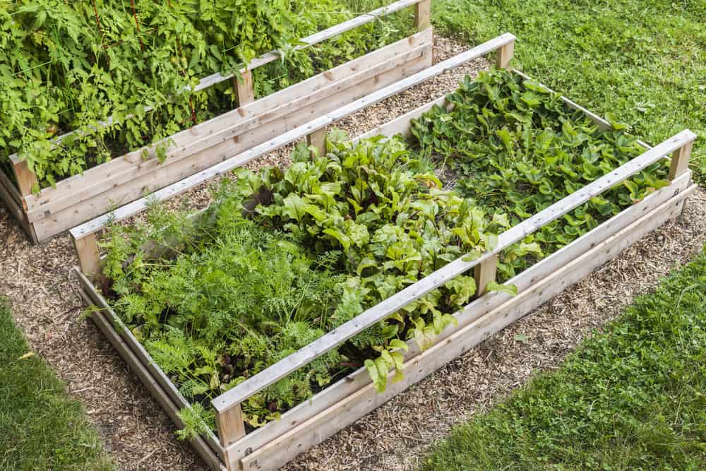 railed raised garden