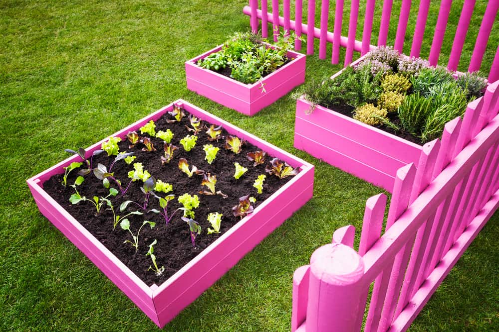 barbie pink raised garden