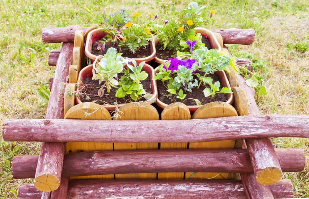 double layer frame and pots