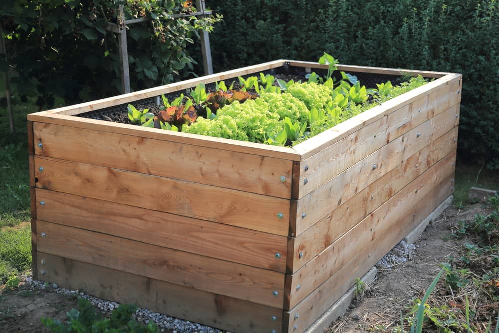 high wooden raised garden