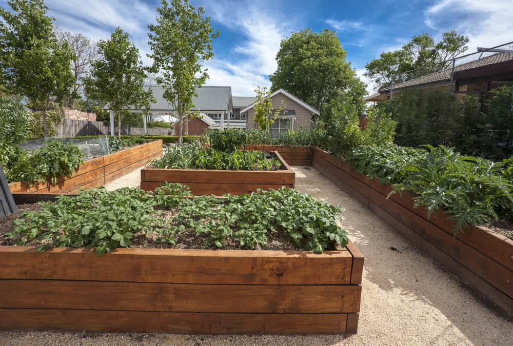 medium wood square wrapped gardens