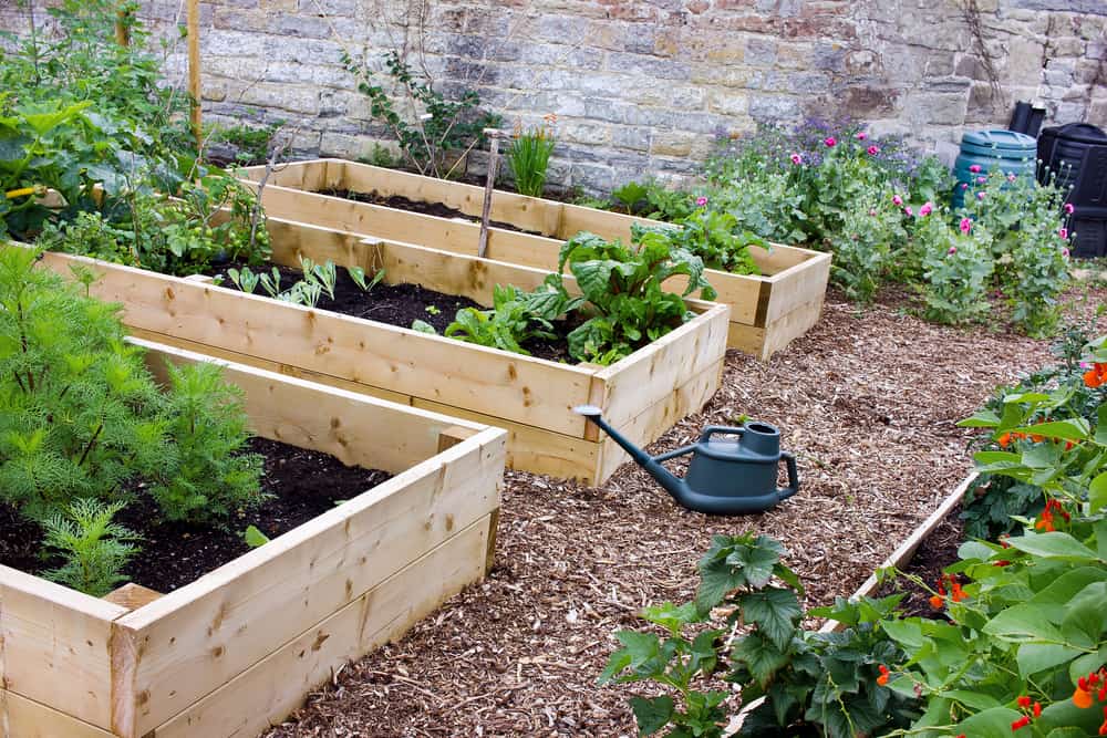 watering can and dark soil gardens