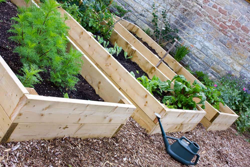unstained trio gardens