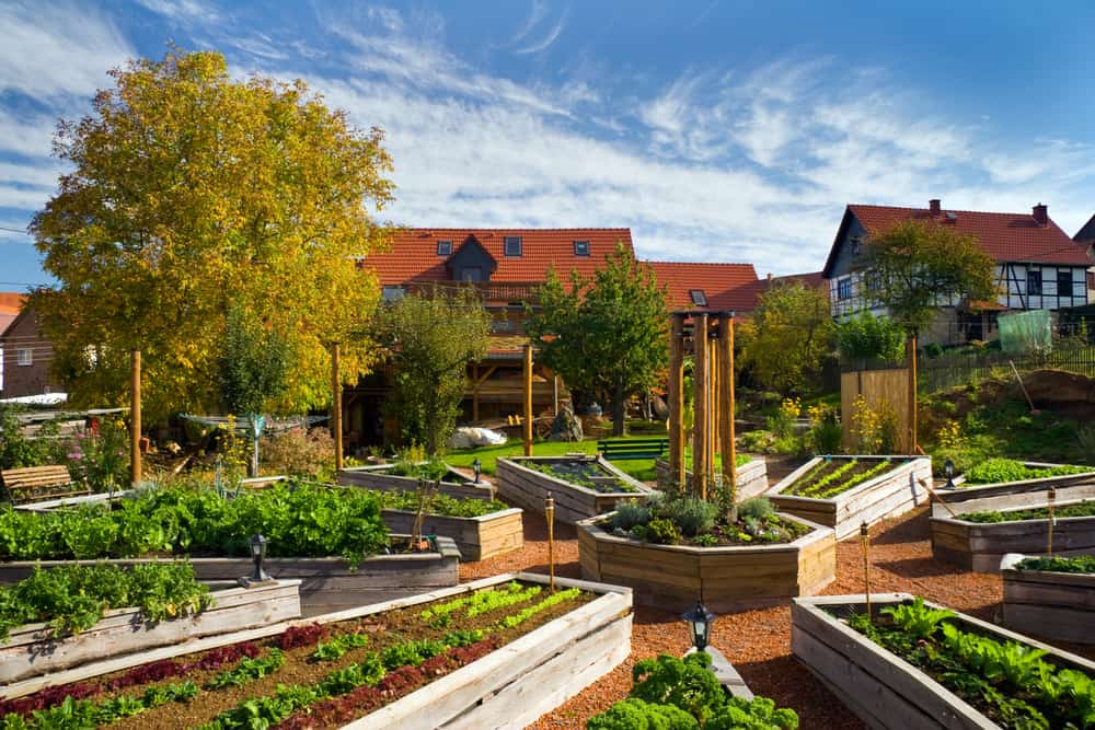 clock style raised gardens