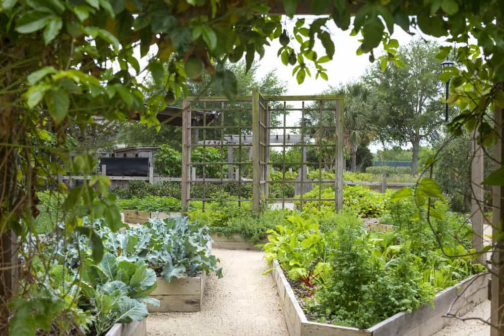 irregularly shaped gardens