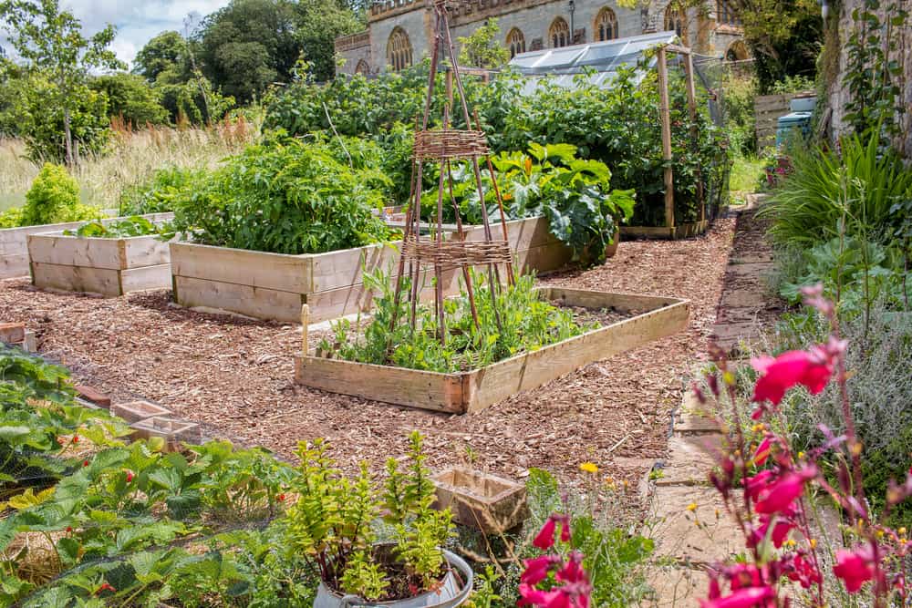 low and high raised gardens