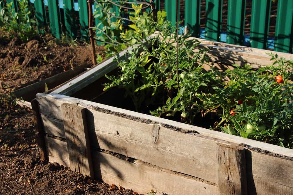 simple wood raised garden