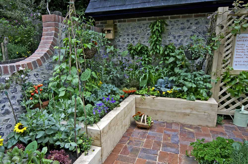 multi level raised garden