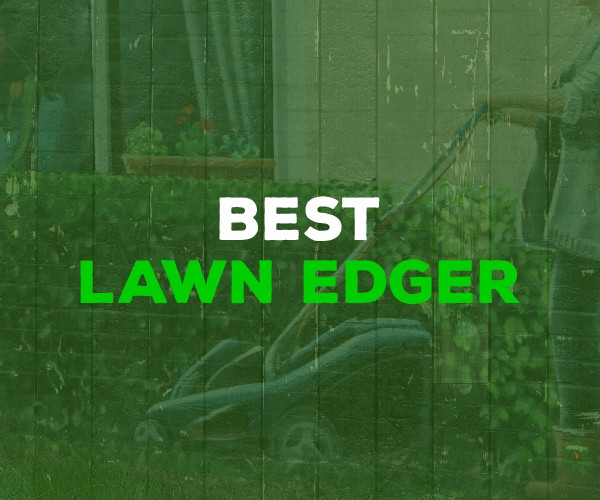 best lawn edger