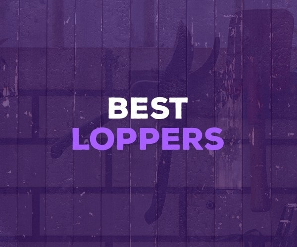 best loppers