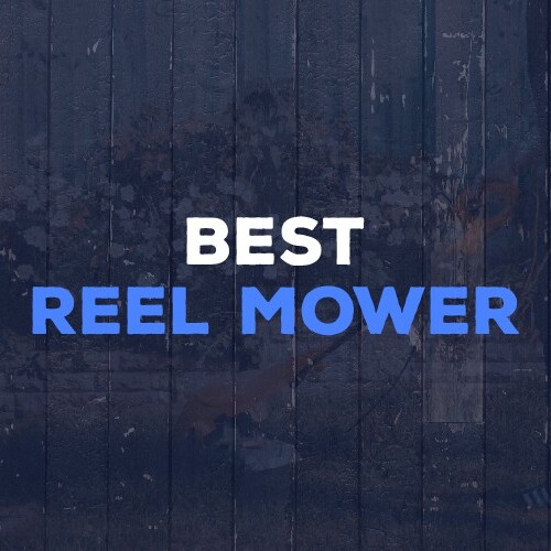 Best Reel Mower
