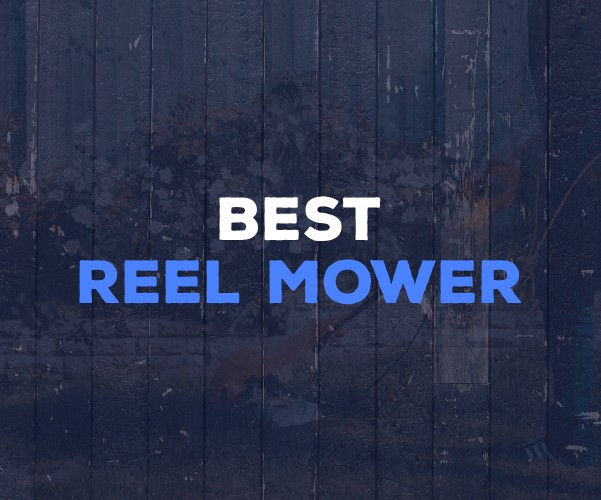 Best Reel Mower