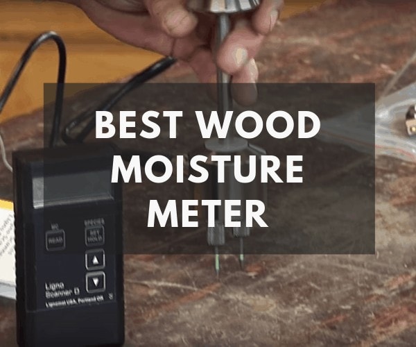 best wood moisture meter