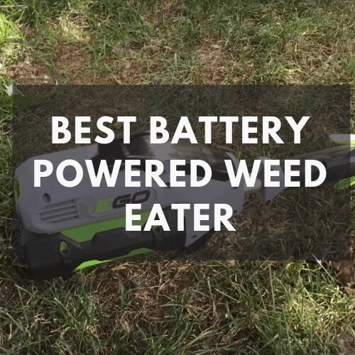 Gas vs Electric Weed Wacker Which One Does Your Yard Need? The Saw Guy