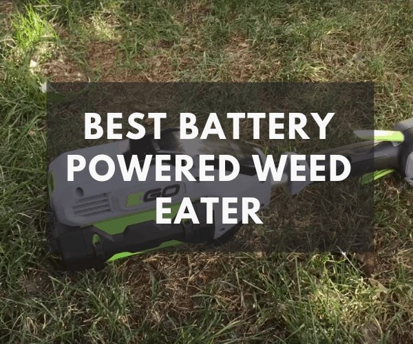 best battery powered weed eater