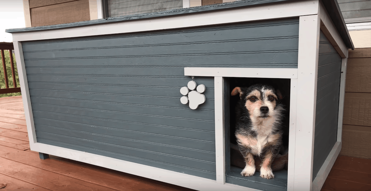 build a dog house from pallets