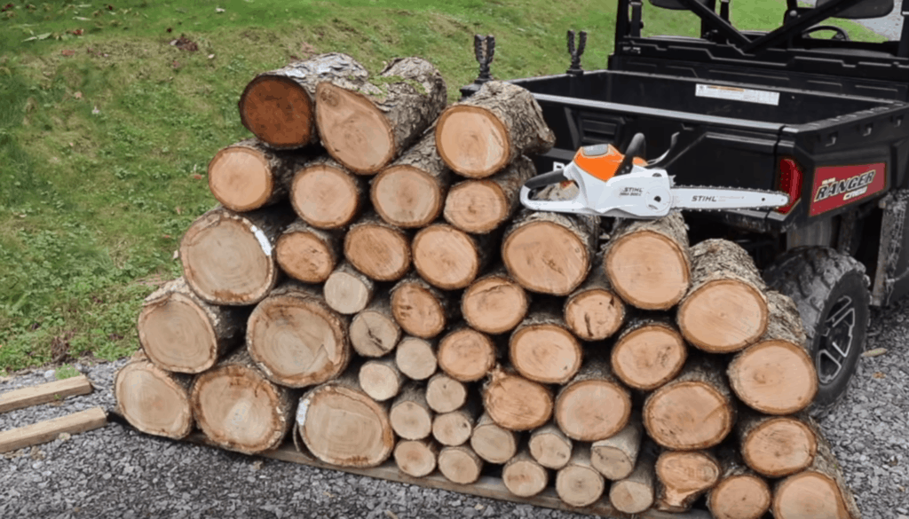 Stihl Chainsaw Dealers Near Me