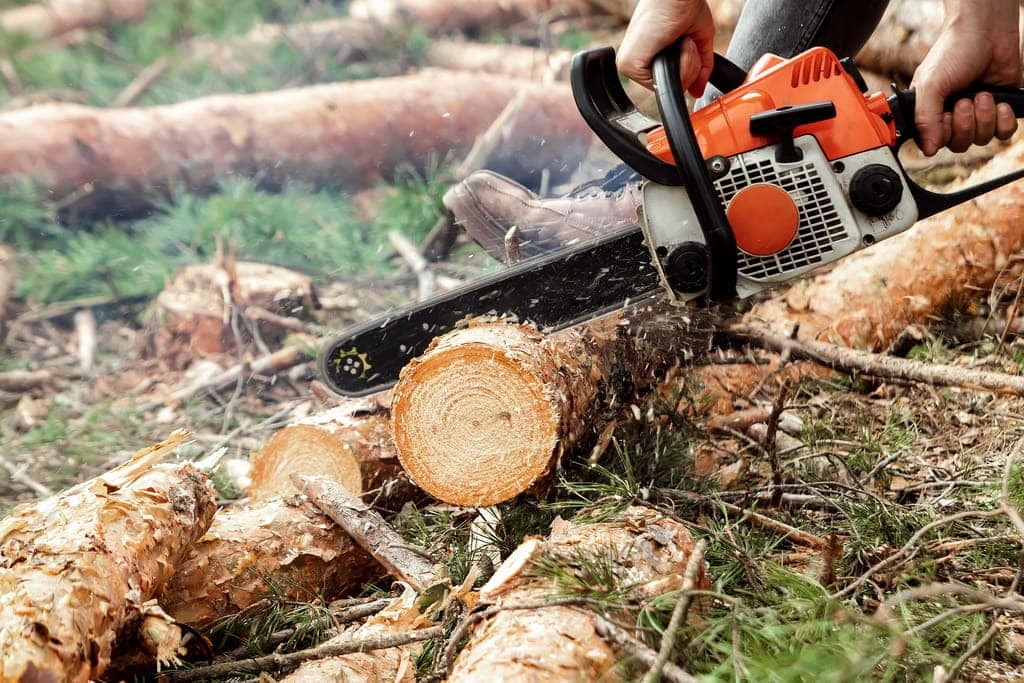 Chainsaw Teeth Sharpener - When to Use