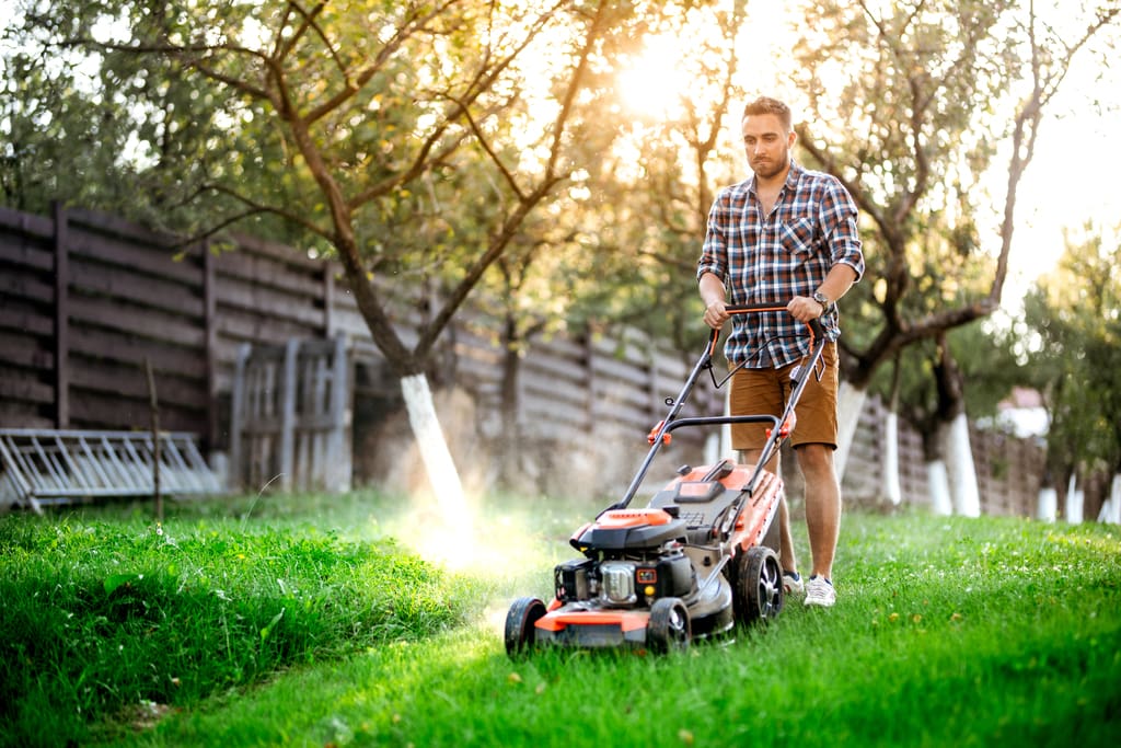 best lawn mowers