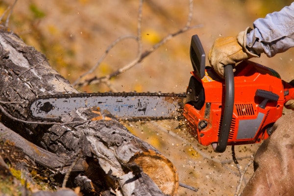 Measure a Chainsaw Bar